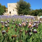 8 mai 2021 fête de saint Michel - Maîtrise Provence-Languedoc