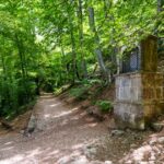 Réfection du chemin des Roys (Octobre 2025)